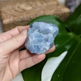 Mighty Blue Raw Calcite *FREE-FORM SPECIMEN FROM MEXICO