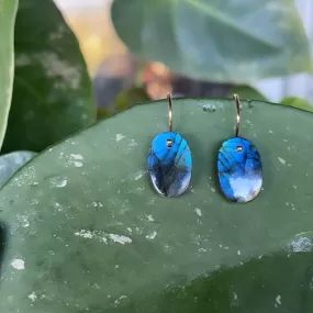 Petite Oval Labradorite earrings